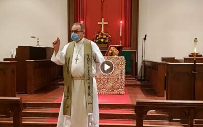 Worship for November 15, 2020