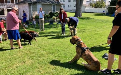 Pet Blessing at Trinity