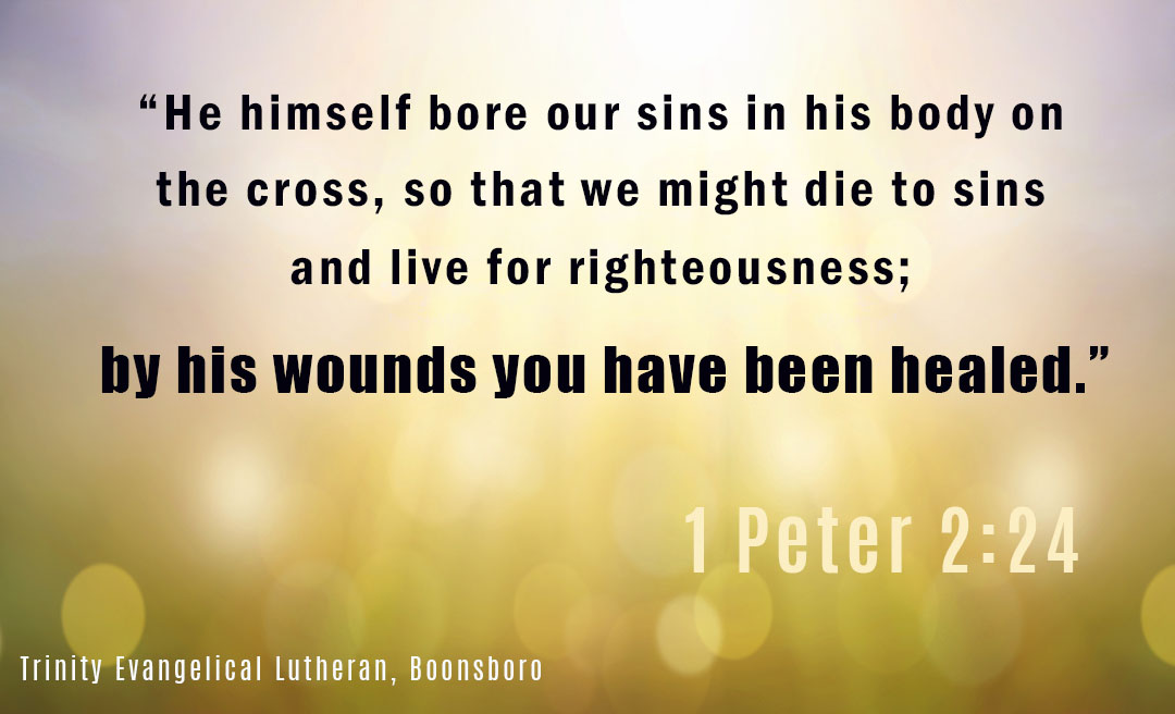 1 Peter 2:244 “He himself bore our sins” in his body on the cross, so that we might die to sins and live for righteousness; “by his wounds you have been healed.”