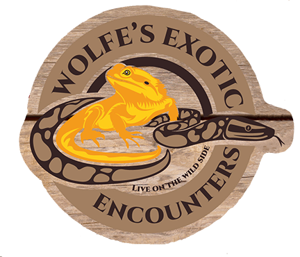 Reptile Show logo