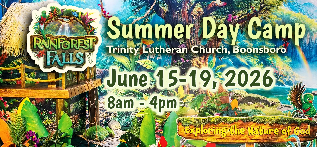 Day Camp - Rainforest Falls